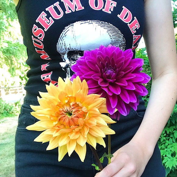 Meet your Posher, Margo - Picture 4 of 5